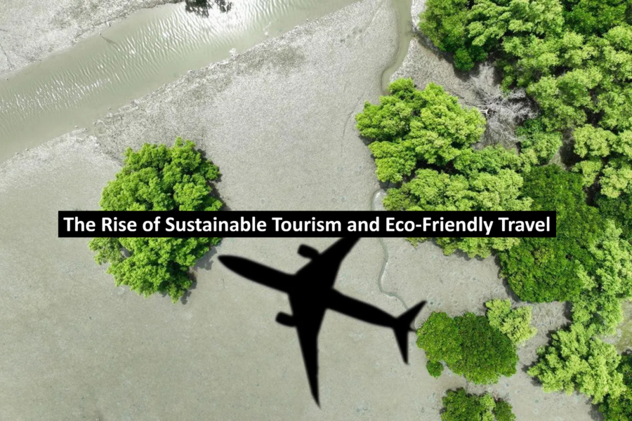 The Rise of Sustainable Tourism and Eco-Friendly Travel